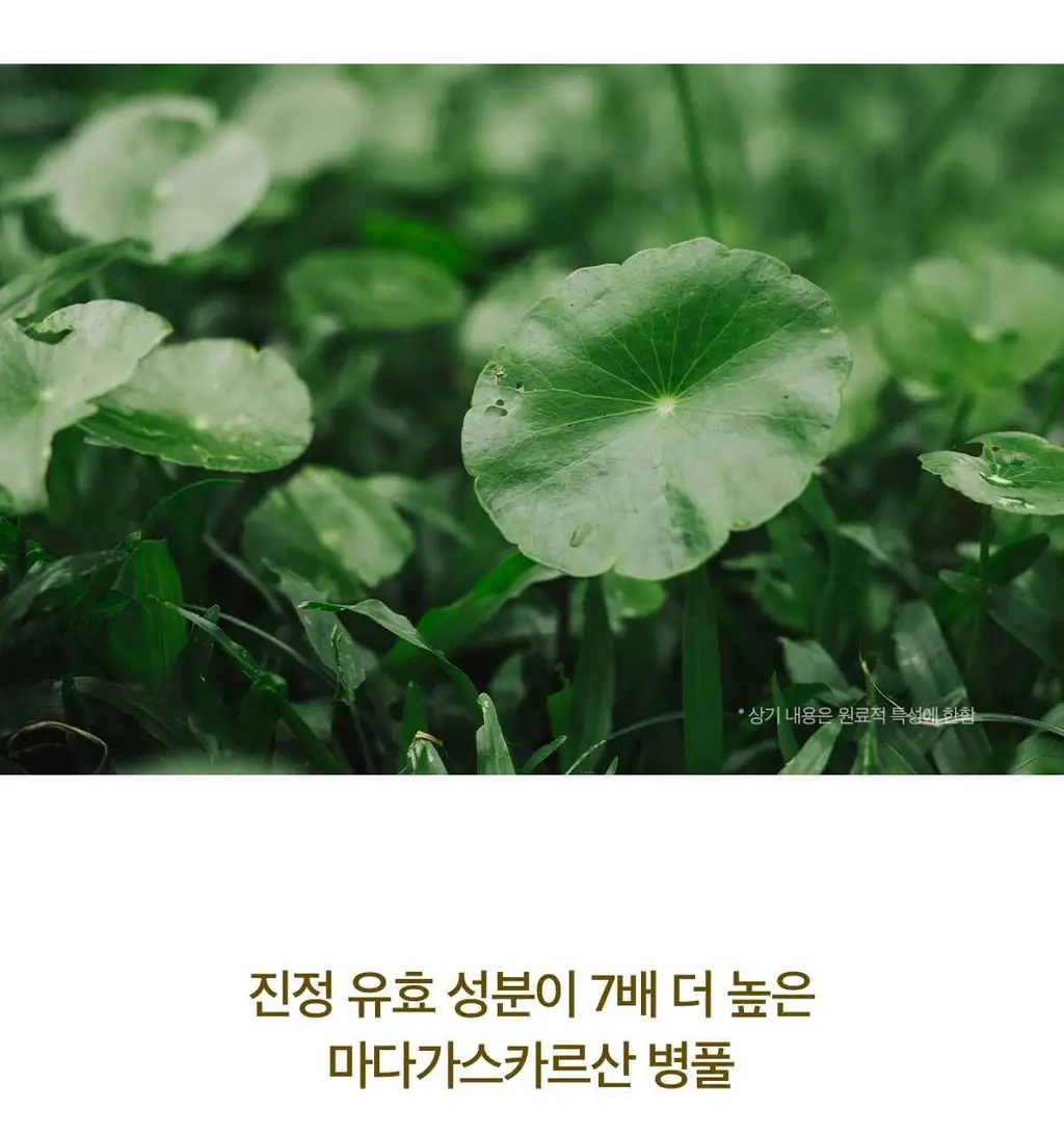 [누적판매 1700만]스킨1004 마다가스카르 센텔라 앰플 55ml 상세페이지 6